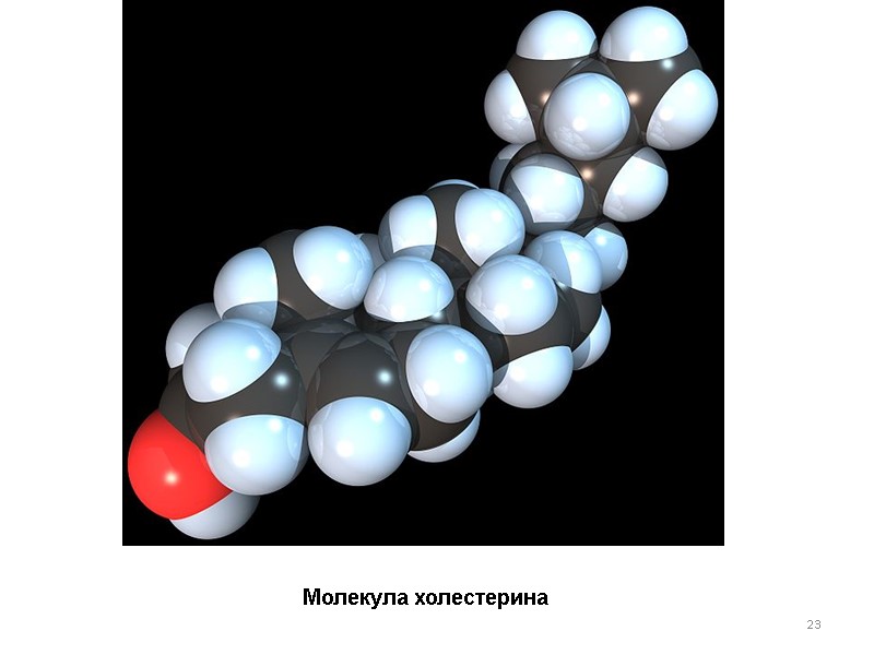 23 Молекула холестерина